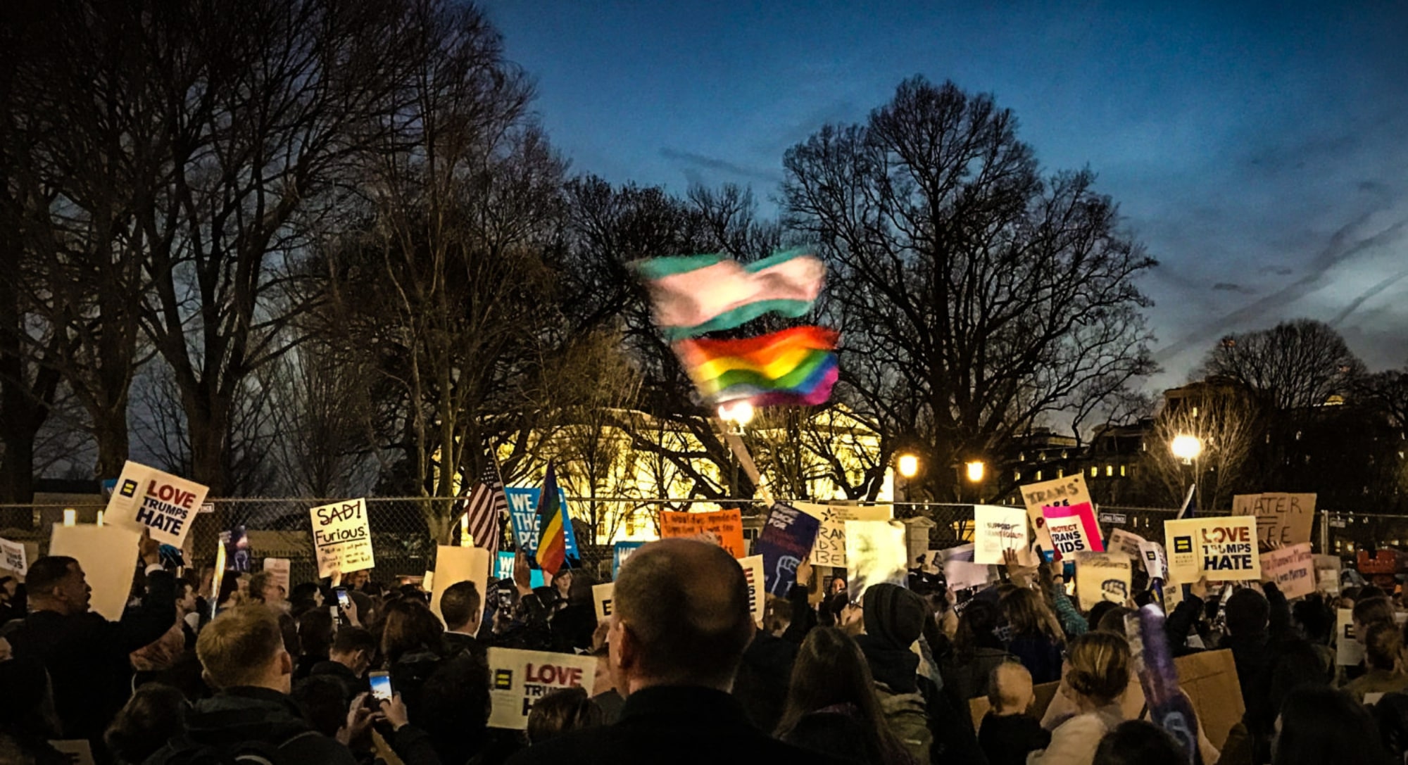 A crowd of protesters gathered at dusk holding signs and waving transgender pride and rainbow flags. Visible signs read "LOVE TRUMPS HATE," "TRANS RIGHTS," "SAD!," and "NO HATE." Bare trees and illuminated street lights frame the scene against a blue evening sky, with buildings visible in the background.